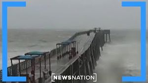 Video post by @newsnation on YouTube