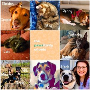 Image post by @PreventEdStLouis on Facebook