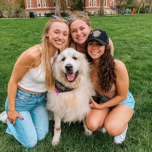 Image post by @mizzoutheta on Instagram