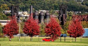 Image post by @pittsburghpg on Instagram