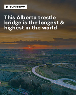 Image post by @curiocitycalgary on Instagram