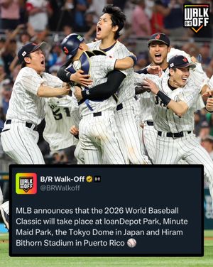 Image post by @brwalkoff on TikTok