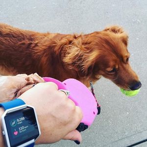 Image post by @fitbit on Instagram