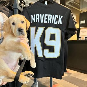 Image post by @vgkpup on Instagram