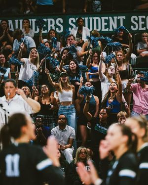 Image post by @greenwavevb on Instagram