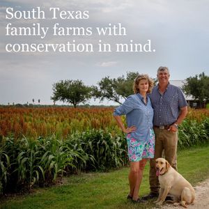Image post by @farmcredit on Instagram