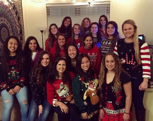 Image post by @brownu_softball on Instagram