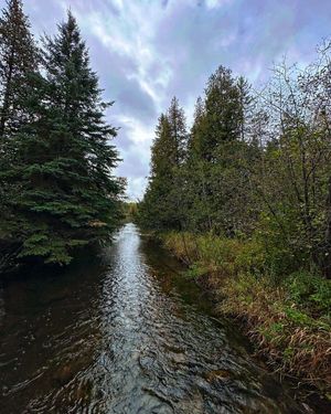 Image post by @motorcityaxe on Instagram