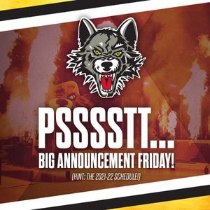 Image post by @chicagowolves on Instagram