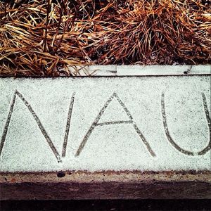 Image post by @nauflagstaff on Instagram