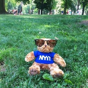Image post by @mynyit on Instagram