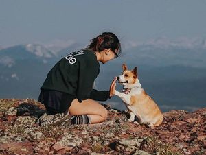 Image post by @bestwestern on Instagram