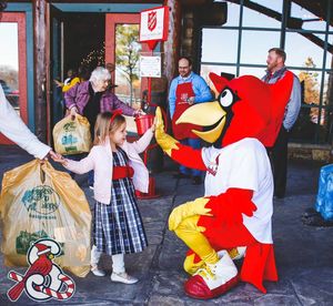 Image post by @springfield_cardinals on Instagram