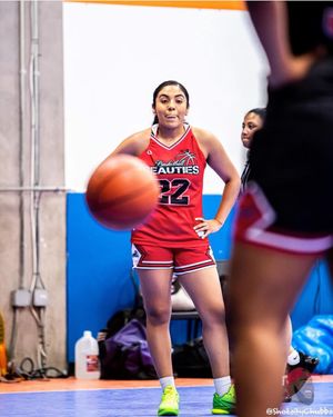 Image post by @basketballbeautiesleague on Instagram