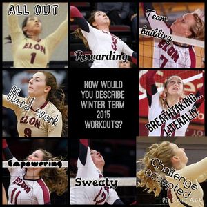 Image post by @elonvb on Instagram