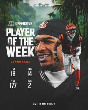 Image post by @bengals on Instagram