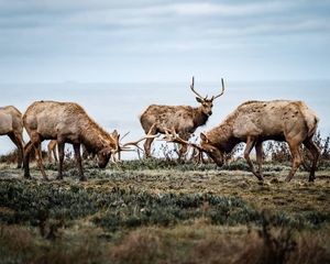 Image post by @_matthewcletus on Instagram