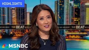 Video post by @msnbc on YouTube