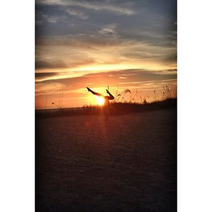 Image post by @lacy_dagen97 on Instagram
