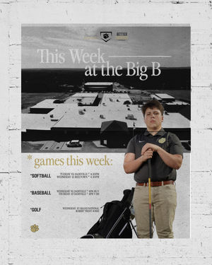 Image post by @beulahbobcats on Instagram