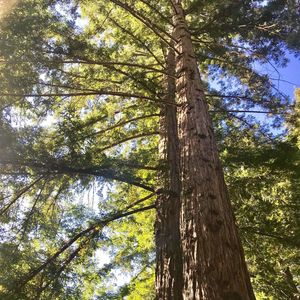 Image post by @ucsc on Instagram