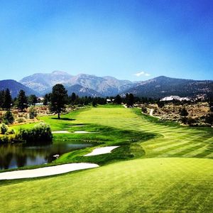 Image post by @barracudachampionship on Instagram