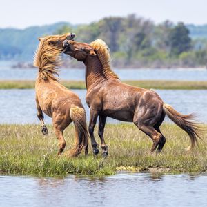 Image post by @discovery on Instagram