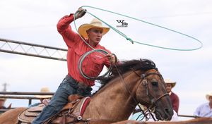 Image post by @internationalprorodeo on Instagram