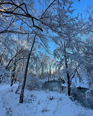 Image post by @leadsportsco on Instagram