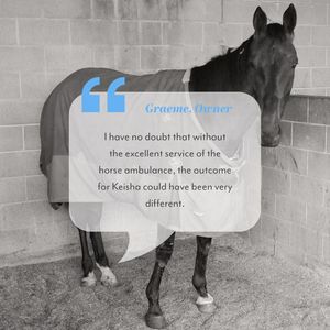Image post by @NZHorseAmbulanceTrust on Facebook