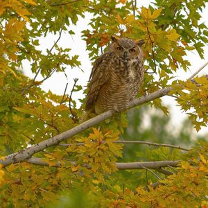 Image post by @fox31denver on Instagram