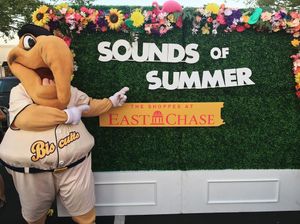 Image post by @biscuitbaseball on Instagram