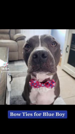 Video post by @LiveLikeRoo on Facebook
