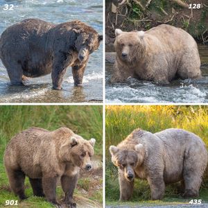 Image post by @nationalparkservice on Instagram
