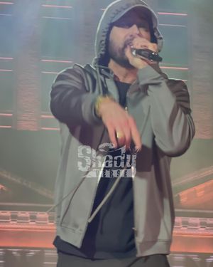 Image post by @shadyverse on Instagram