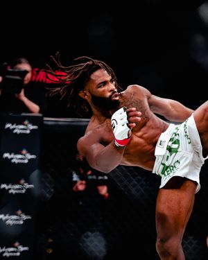 Image post by @bellatormma on Instagram