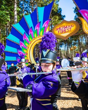 Image post by @electric_forest on Instagram