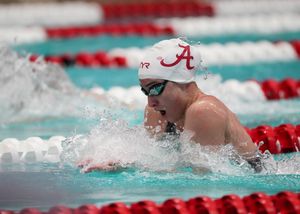 Image post by @alabamaswimdive on Instagram