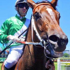 Image post by @australianturfclub on Instagram