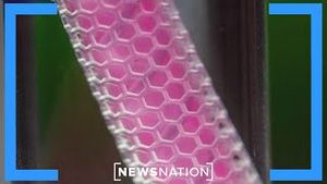 Video post by @newsnation on YouTube
