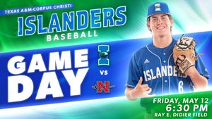 Image post by @islandersbsb on Instagram