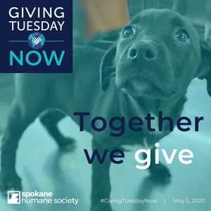 Image post by @spokhumanesoc on Instagram