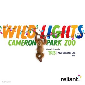 Image post by @reliantenergy on Instagram