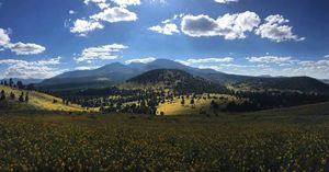 Image post by @nauflagstaff on Instagram