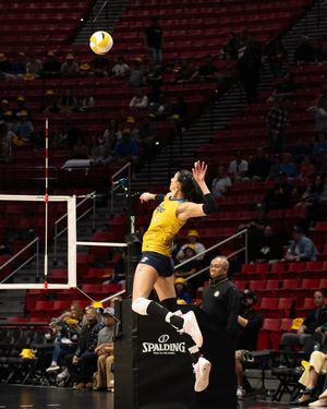 Image post by @sandiegomojovb on Instagram