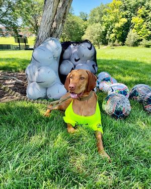 Image post by @oaklandmsoc on Instagram