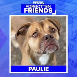 Image post by @kens5 on Instagram