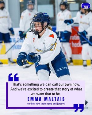 Image post by @hockeygirlsclub on Instagram