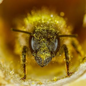 Image post by @discovery on Instagram