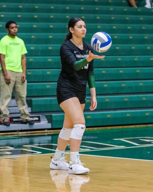 Image post by @binghamtonvb on Instagram